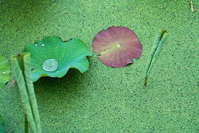 《使命召唤 战区2.0》在哪下载、预下载方法以及配置要求消息一览